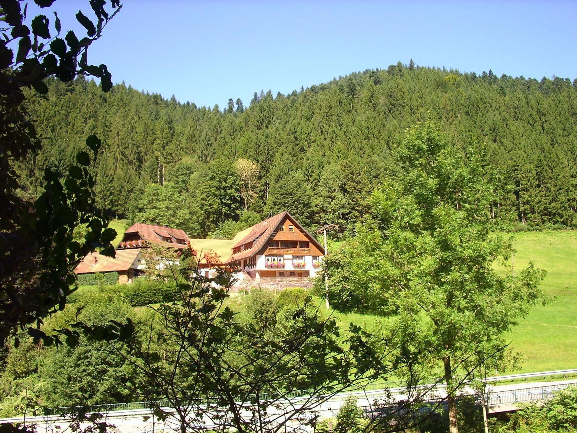 Ferienwohnungen Vogt'S Libding Bad Rippoldsau-Schapbach Екстер'єр фото